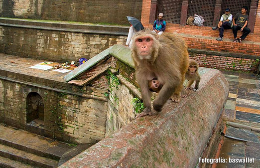 Zona de Bagmati, Nepal