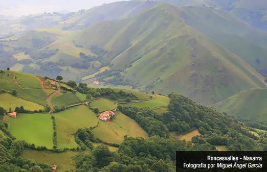 Navarra