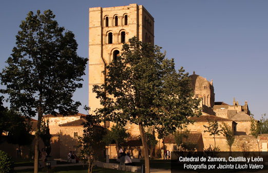 Zamora