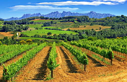 Alt Penedès