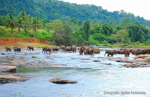 Sri Lanka