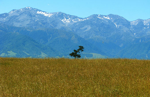 Nueva Zelanda