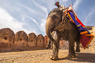 Jaipur, ruta por la ciudad rosa