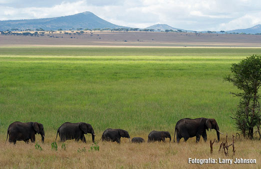 Tanzania