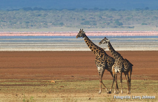 Tanzania