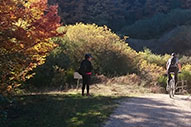 Vías verdes en Castilla y León