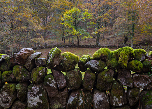 Cantabria