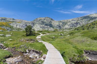 Disfrutar del Parque Nacional de la Sierra de Guadarrama