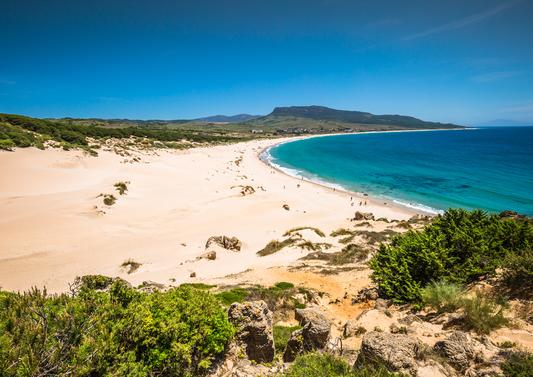 Tarifa