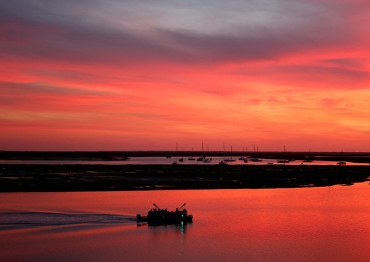 Faro