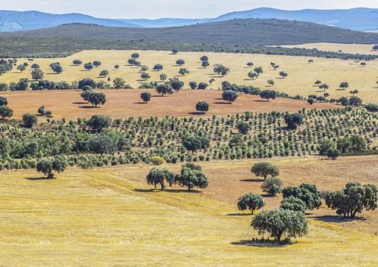 Parque Nacional de Cabañeros