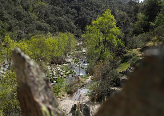 Parque Nacional de Cabañeros